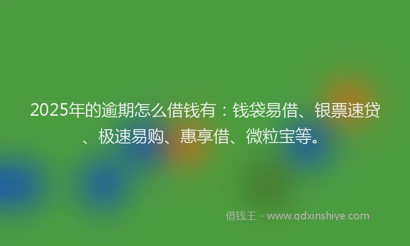 2025年的逾期怎么借钱有:钱袋易借、银票速贷、极速易购、惠享借、微粒宝等。