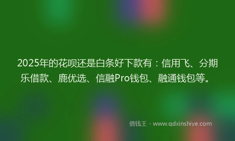 2025年的花呗还是白条好下款有：信用飞、分期乐借款、鹿优选、信融Pro钱包、融通钱包等。
