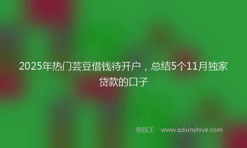 2025年热门芸豆借钱待开户,总结5个11月独家贷款的口子
