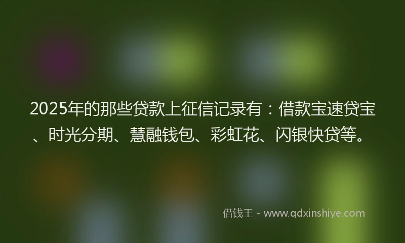 2025年的那些贷款上征信记录有：借款宝速贷宝、时光分期、慧融钱包、彩虹花、闪银快贷等。