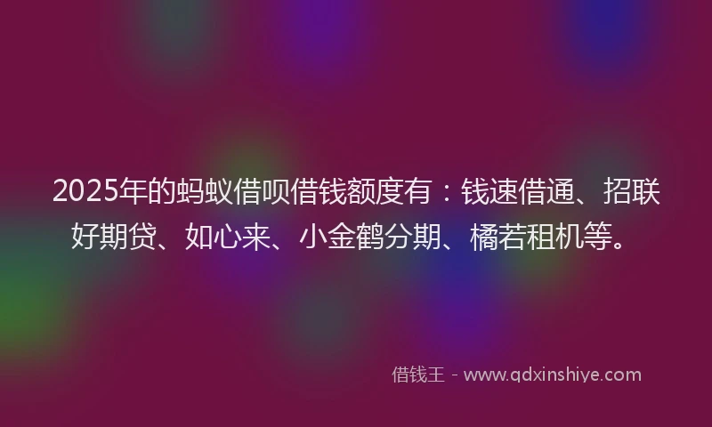 2025年的蚂蚁借呗借钱额度有：钱速借通、招联好期贷、如心来、小金鹤分期、橘若租机等。