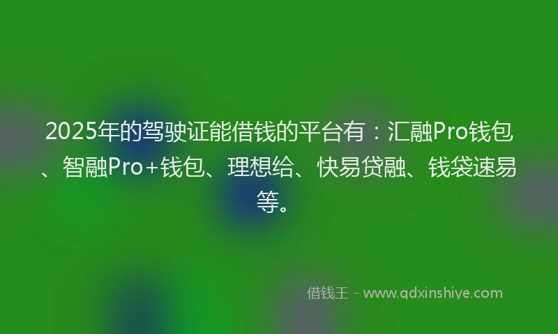 2025年的驾驶证能借钱的平台有:汇融Pro钱包、智融Pro+钱包、理想给、快易贷融、钱袋速易等。