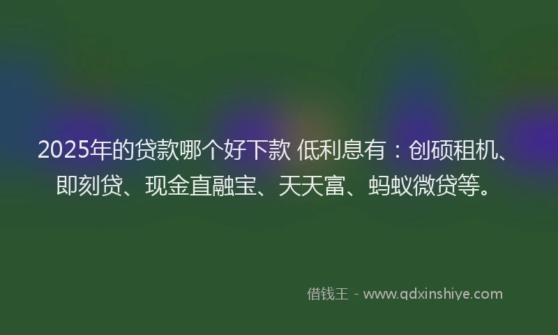 2025年的贷款哪个好下款 低利息有:创硕租机、即刻贷、现金直融宝、天天富、蚂蚁微贷等。