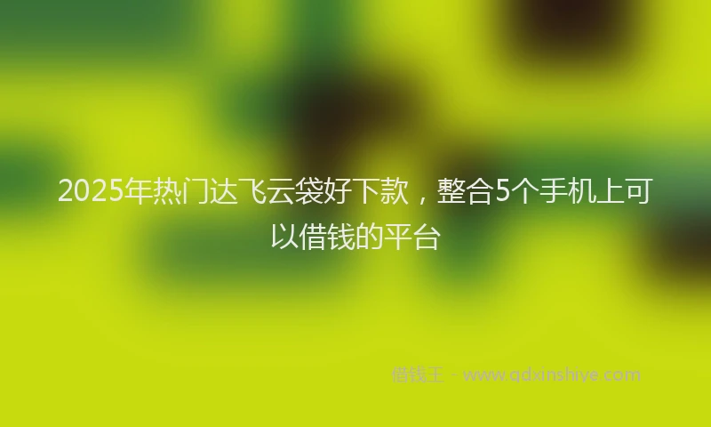 2025年热门达飞云袋好下款,整合5个手机上可以借钱的平台