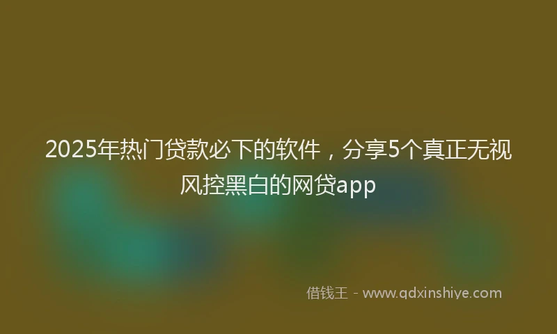 2025年热门贷款必下的软件,分享5个真正无视风控黑白的网贷app