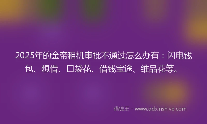 2025年的金帝租机审批不通过怎么办有：闪电钱包、想借、口袋花、借钱宝途、维品花等。