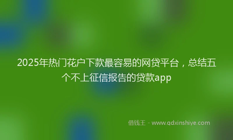 2025年热门花户下款最容易的网贷平台，总结五个不上征信报告的贷款app