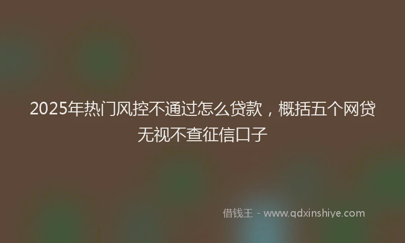 2025年热门风控不通过怎么贷款，概括五个网贷无视不查征信口子
