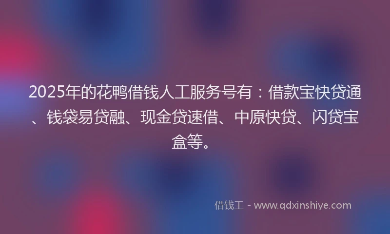 2025年的花鸭借钱人工服务号有：借款宝快贷通、钱袋易贷融、现金贷速借、中原快贷、闪贷宝盒等。