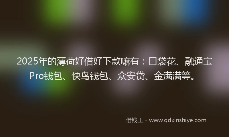 2025年的薄荷好借好下款嘛有：口袋花、融通宝Pro钱包、快鸟钱包、众安贷、金满满等。
