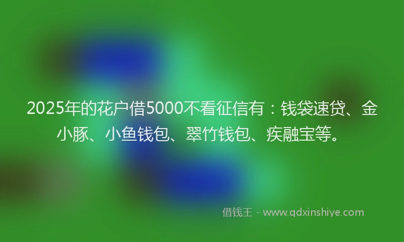 2025年的花户借5000不看征信有：钱袋速贷、金小豚、小鱼钱包、翠竹钱包、疾融宝等。