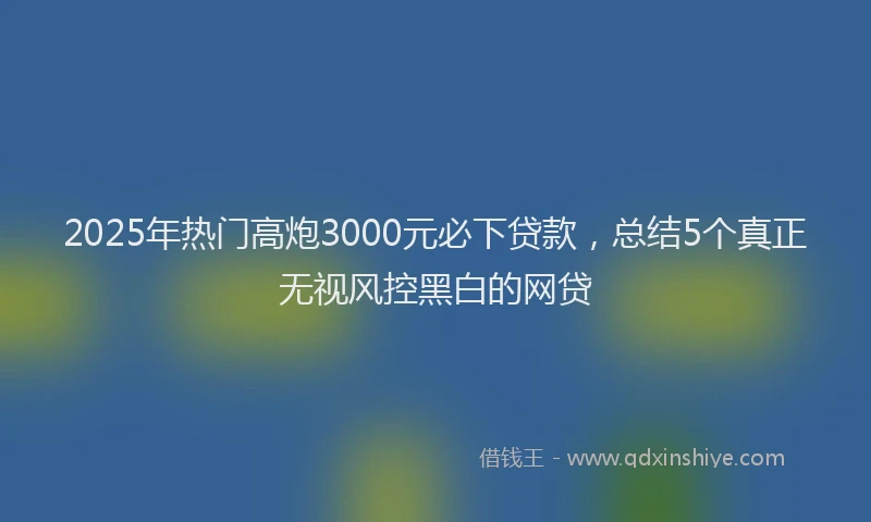 2025年热门高炮3000元必下贷款，总结5个真正无视风控黑白的网贷