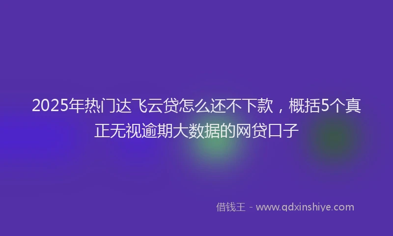 2025年热门达飞云贷怎么还不下款,概括5个真正无视逾期大数据的网贷口子