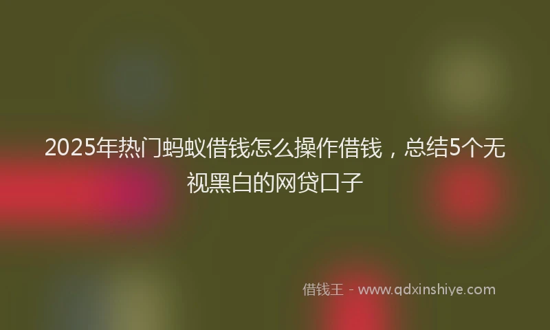 2025年热门蚂蚁借钱怎么操作借钱,总结5个无视黑白的网贷口子