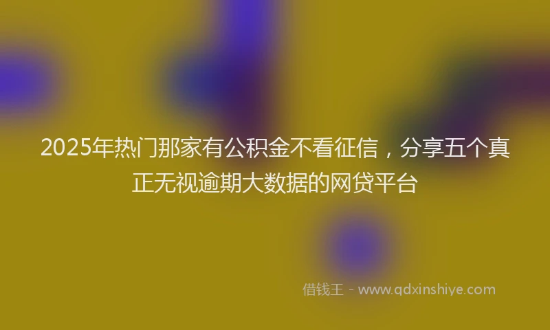 2025年热门那家有公积金不看征信,分享五个真正无视逾期大数据的网贷平台