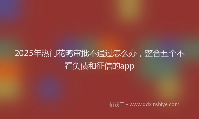 2025年热门花鸭审批不通过怎么办，整合五个不看负债和征信的app