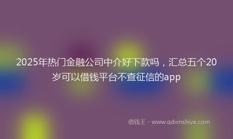 2025年热门金融公司中介好下款吗，汇总五个20岁可以借钱平台不查征信的app