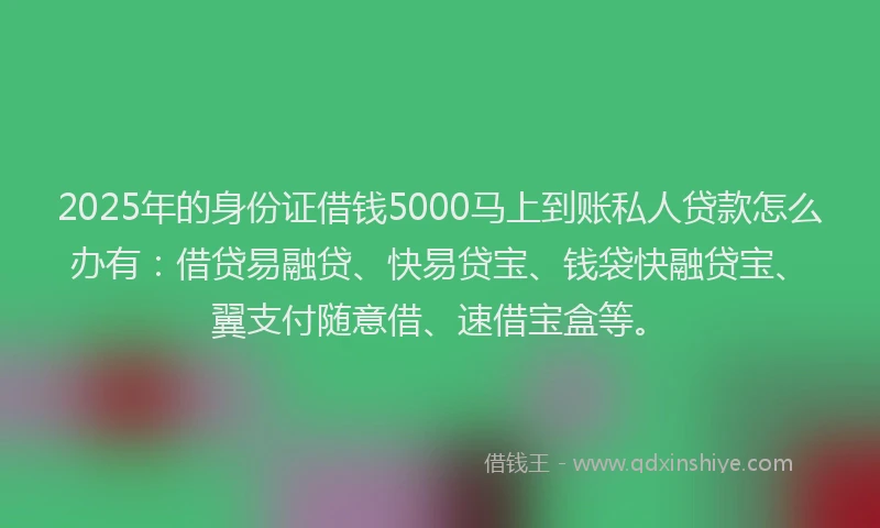2025年的身份证借钱5000马上到账私人贷款怎么办有:借贷易融贷、快易贷宝、钱袋快融贷宝、翼支付随意借、速借宝盒等。