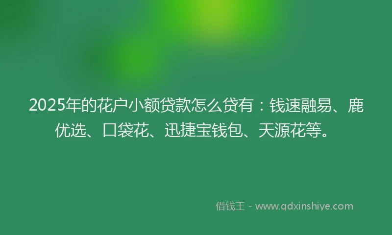 2025年的花户小额贷款怎么贷有：钱速融易、鹿优选、口袋花、迅捷宝钱包、天源花等。