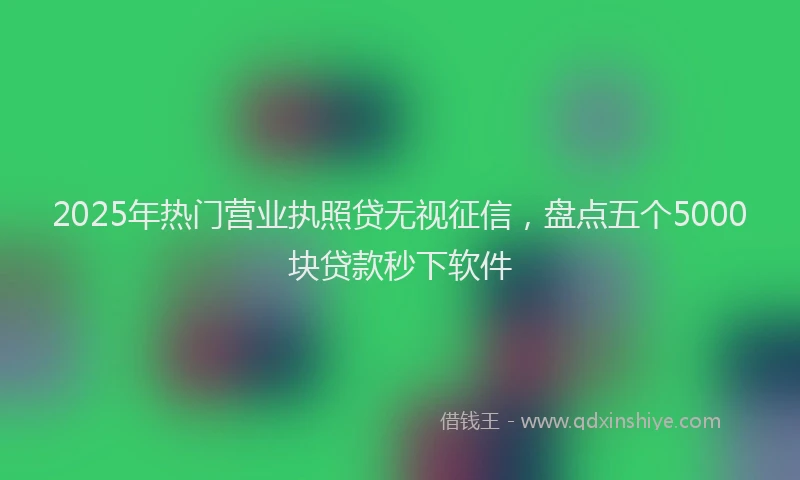 2025年热门营业执照贷无视征信，盘点五个5000块贷款秒下软件