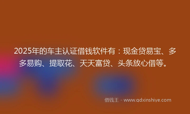 2025年的车主认证借钱软件有：现金贷易宝、多多易购、提取花、天天富贷、头条放心借等。