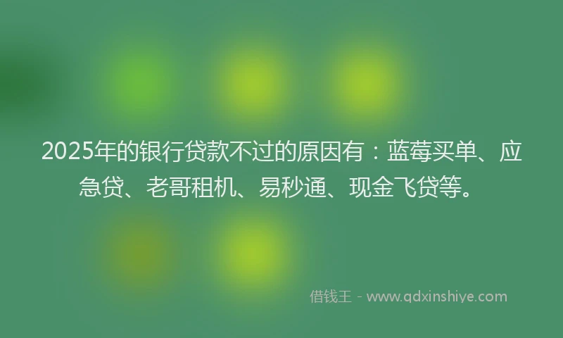 2025年的银行贷款不过的原因有：蓝莓买单、应急贷、老哥租机、易秒通、现金飞贷等。