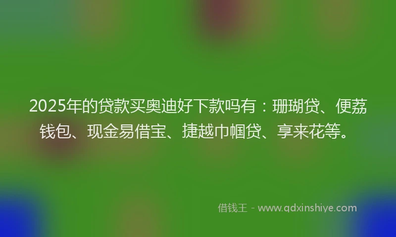 2025年的贷款买奥迪好下款吗有:珊瑚贷、便荔钱包、现金易借宝、捷越巾帼贷、享来花等。