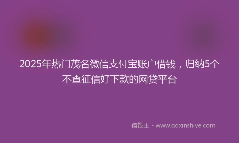 2025年热门茂名微信支付宝账户借钱,归纳5个不查征信好下款的网贷平台