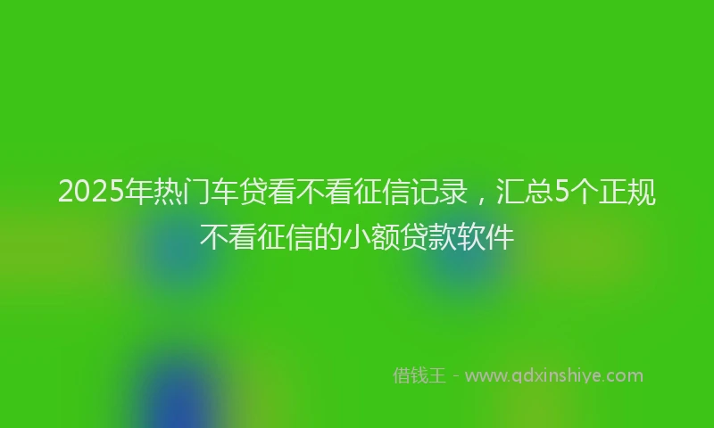 2025年热门车贷看不看征信记录，汇总5个正规不看征信的小额贷款软件