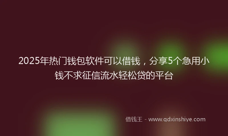 2025年热门钱包软件可以借钱,分享5个急用小钱不求征信流水轻松贷的平台