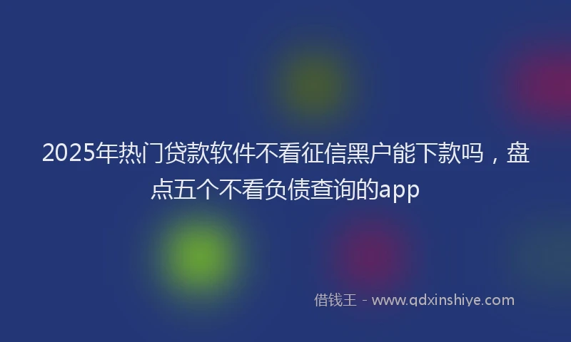 2025年热门贷款软件不看征信黑户能下款吗，盘点五个不看负债查询的app