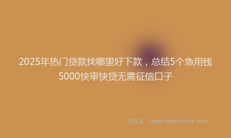 2025年热门贷款找哪里好下款,总结5个急用钱5000快审快贷无需征信口子