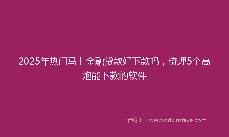 2025年热门马上金融贷款好下款吗，梳理5个高炮能下款的软件