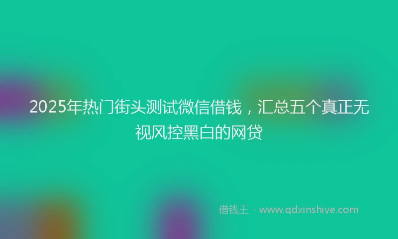 2025年热门街头测试微信借钱，汇总五个真正无视风控黑白的网贷