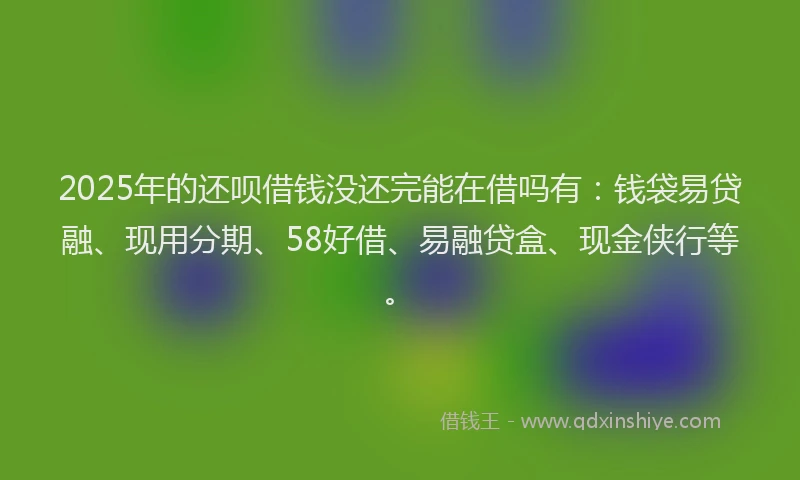 2025年的还呗借钱没还完能在借吗有:钱袋易贷融、现用分期、58好借、易融贷盒、现金侠行等。