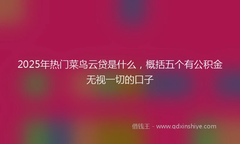 2025年热门菜鸟云贷是什么，概括五个有公积金无视一切的口子