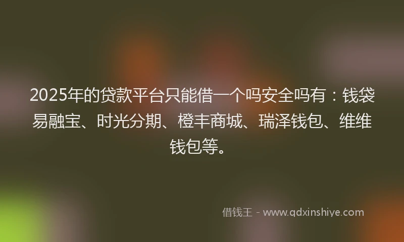 2025年的贷款平台只能借一个吗安全吗有:钱袋易融宝、时光分期、橙丰商城、瑞泽钱包、维维钱包等。