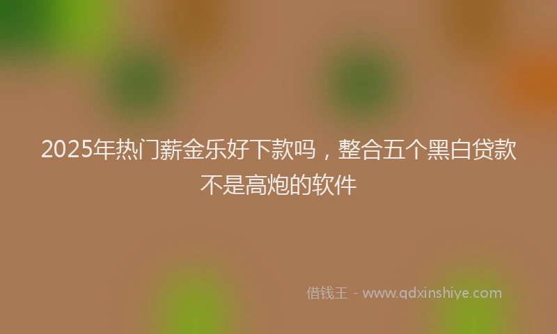 2025年热门薪金乐好下款吗，整合五个黑白贷款不是高炮的软件