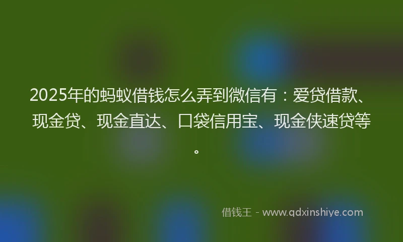 2025年的蚂蚁借钱怎么弄到微信有:爱贷借款、现金贷、现金直达、口袋信用宝、现金侠速贷等。