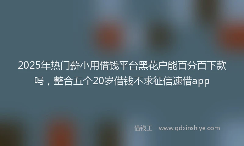 2025年热门薪小用借钱平台黑花户能百分百下款吗，整合五个20岁借钱不求征信速借app
