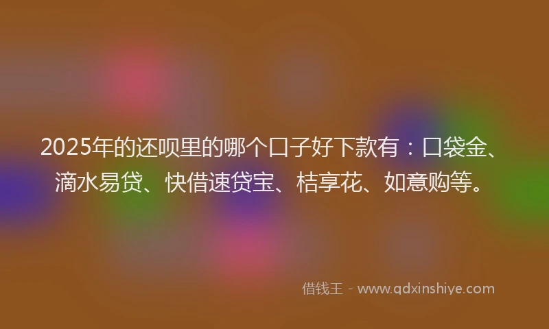 2025年的还呗里的哪个口子好下款有：口袋金、滴水易贷、快借速贷宝、桔享花、如意购等。