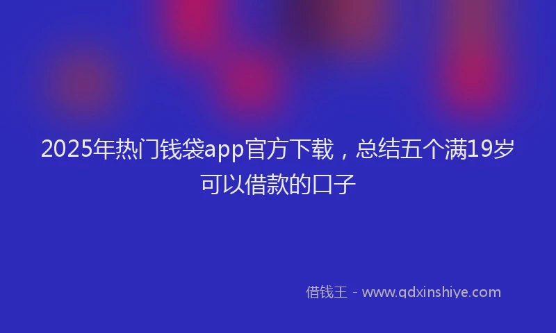 2025年热门钱袋app官方下载，总结五个满19岁可以借款的口子
