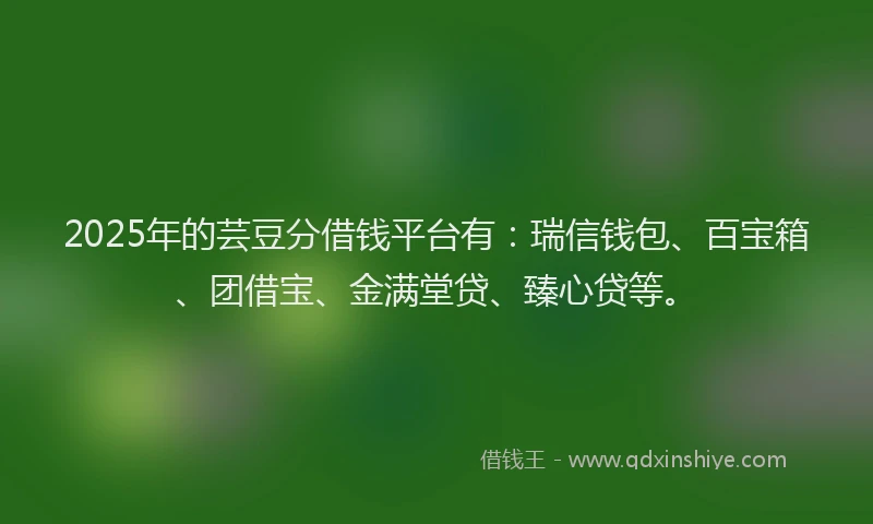2025年的芸豆分借钱平台有：瑞信钱包、百宝箱、团借宝、金满堂贷、臻心贷等。