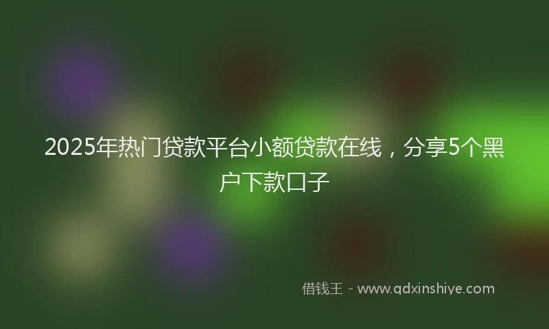 2025年热门贷款平台小额贷款在线,分享5个黑户下款口子