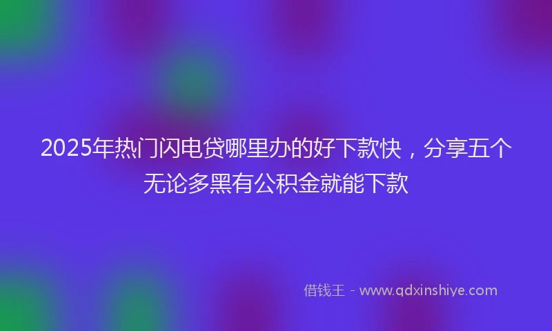 2025年热门闪电贷哪里办的好下款快，分享五个无论多黑有公积金就能下款