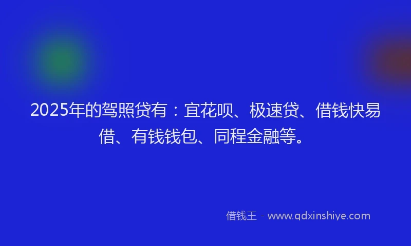 2025年的驾照贷有：宜花呗、极速贷、借钱快易借、有钱钱包、同程金融等。