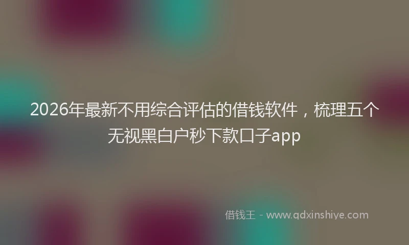 2026年最新不用综合评估的借钱软件,梳理五个无视黑白户秒下款口子app