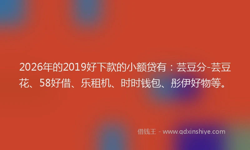 2026年的2019好下款的小额贷有：芸豆分-芸豆花、58好借、乐租机、时时钱包、彤伊好物等。