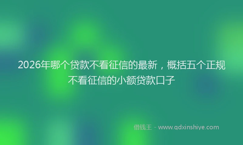 2026年哪个贷款不看征信的最新,概括五个正规不看征信的小额贷款口子
