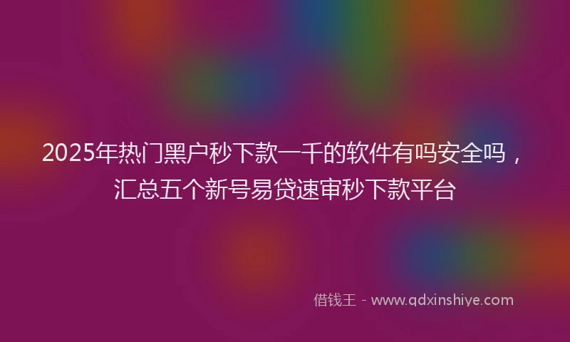 2025年热门黑户秒下款一千的软件有吗安全吗,汇总五个新号易贷速审秒下款平台